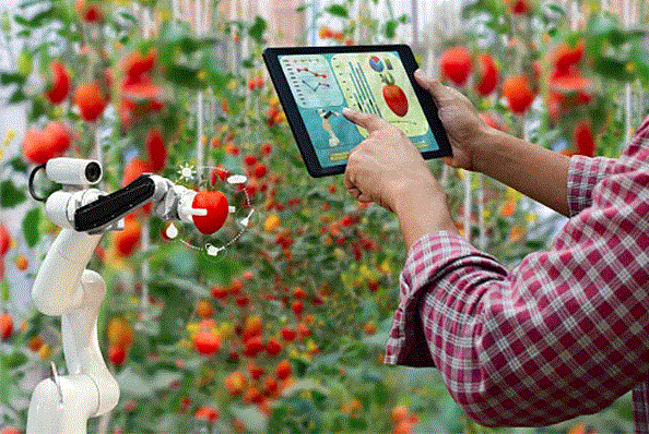AI and IoT for Agriculture